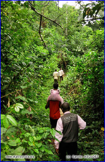 Chutes Amunyala à Kisangani