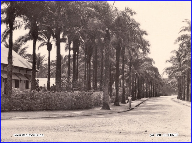 Avenue Ketele à Stanleyville