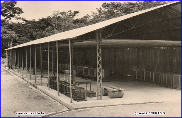 Camp Lindi hangar
