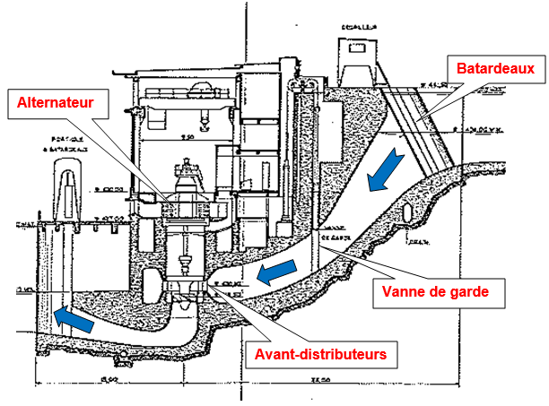 Coupe centrale de la Tshopo