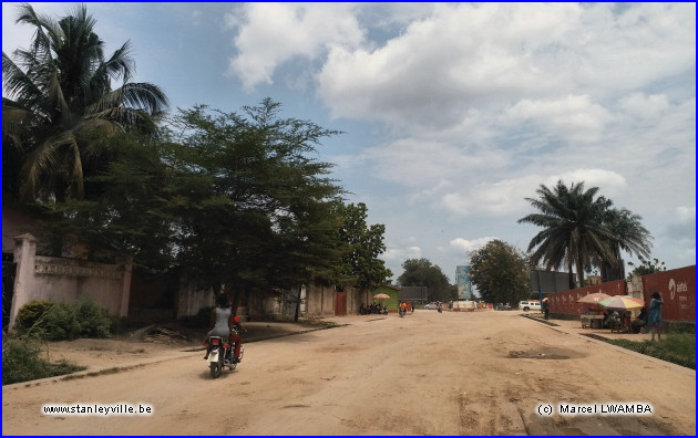 Avenue des Eucalyptus à Kisangani