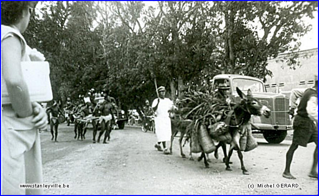 Fête de Stanley Stanleyville