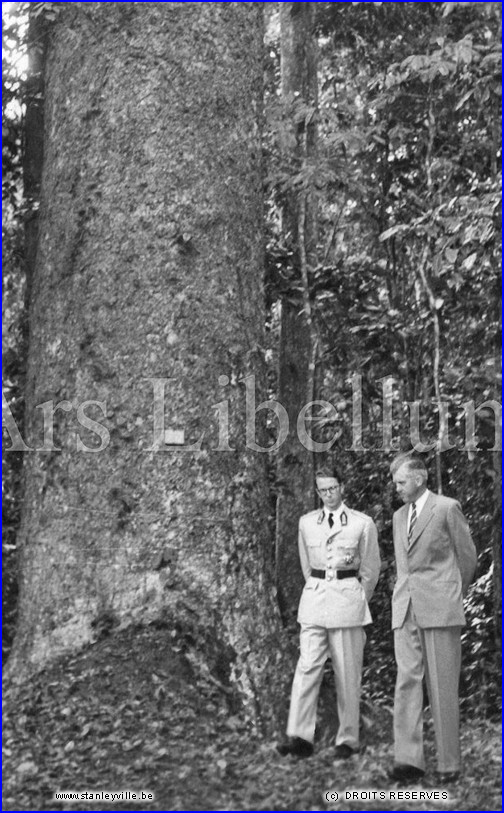 Le roi Baudouin en 1955 à Yangambi