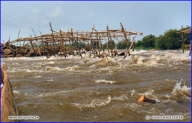 Wagenias à Kisangani